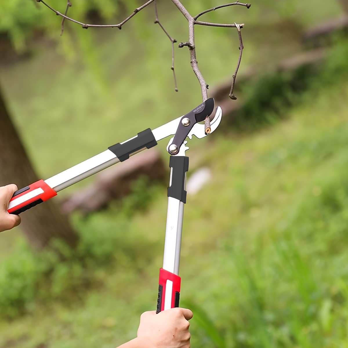 Forbici da Potatura Profession - Bag Power Tools recensione e prezzo