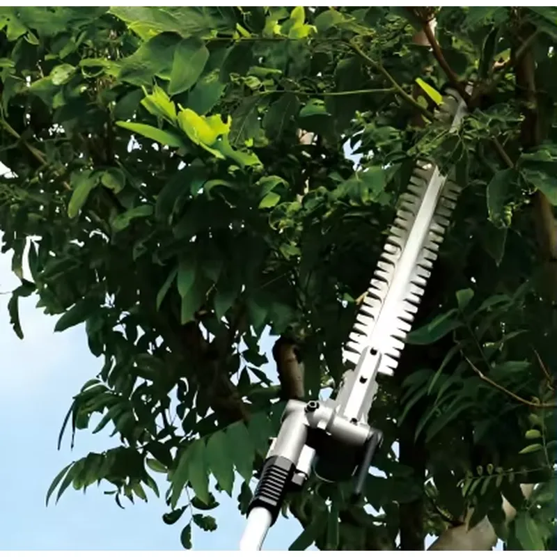 Tagliasiepi a batteria DongChe - Power Tools Dongcheng recensione e prezzo